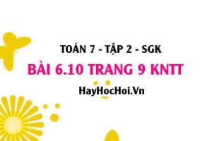 Bài 6.10 trang 9 Toán 7 Tập 2 Kết nối tri thức